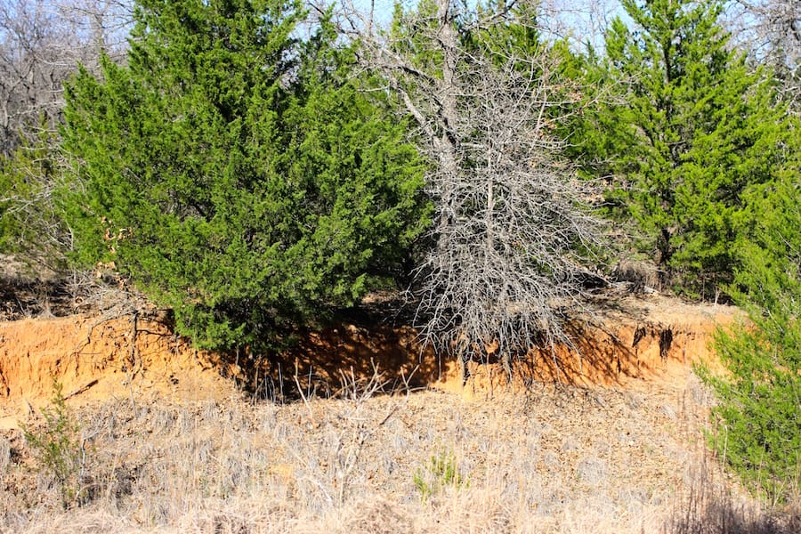 Montgomery Ranch Tract 15 photo 8