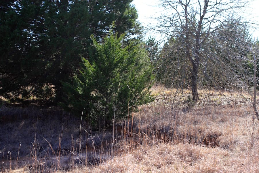 Montgomery Ranch Tract 15 photo 10