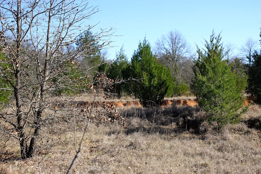 Montgomery Ranch Tract 15 photo 11