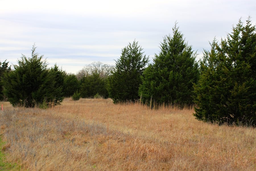 Montgomery Ranch Tract 15 photo 15