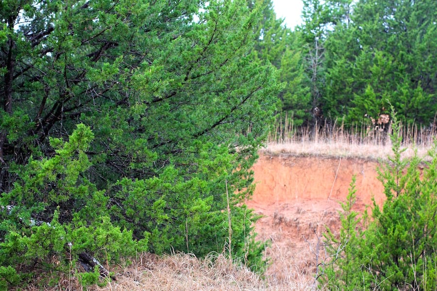 Montgomery Ranch Tract 15 photo 17