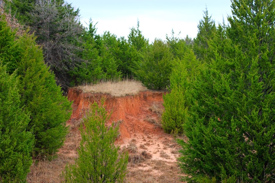 Montgomery Ranch Tract 15 photo 18