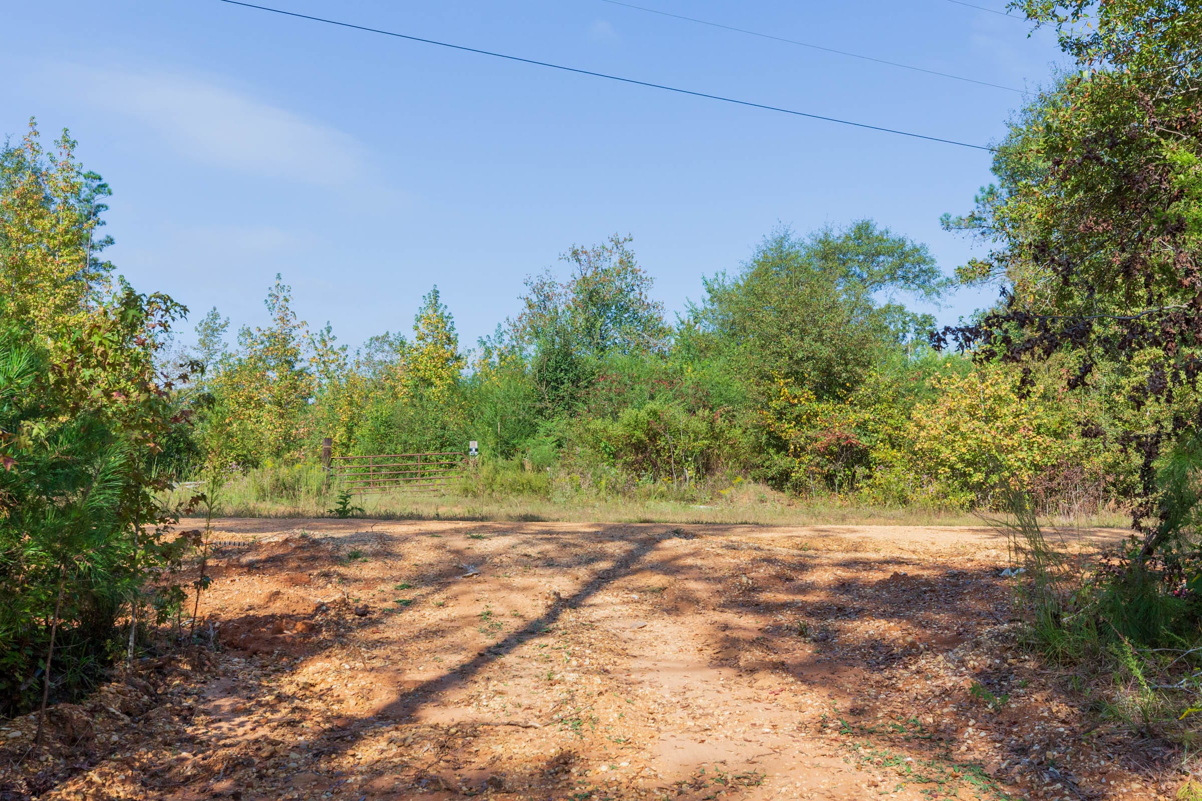 Willow Grove Tract 5 photo 1