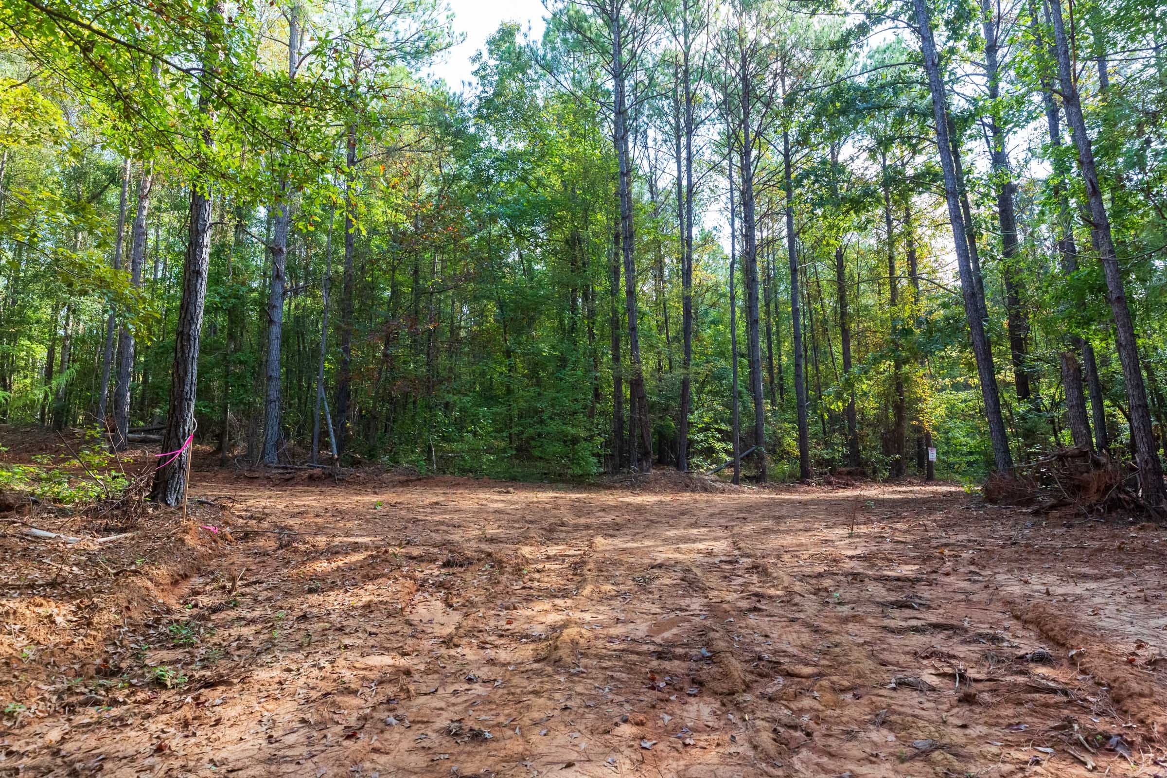 Willow Grove Tract 5 photo 8