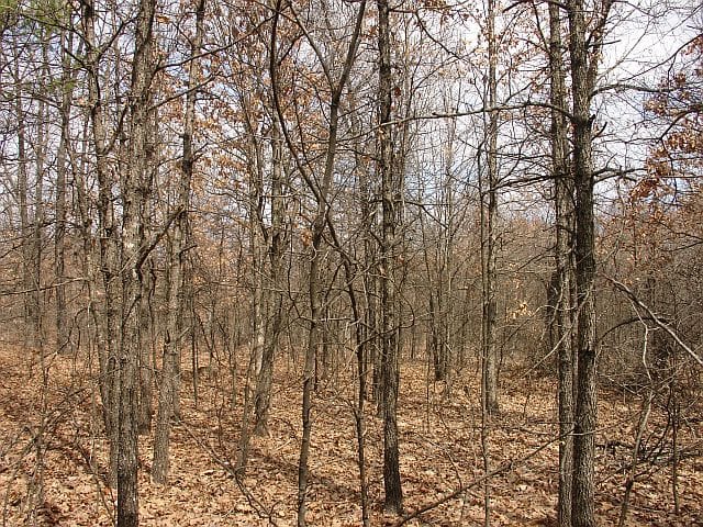 Barnes Hollow Tract 8 photo 3