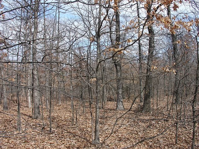 Barnes Hollow Tract 8 photo 4