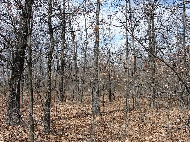 Barnes Hollow Tract 8 photo 5