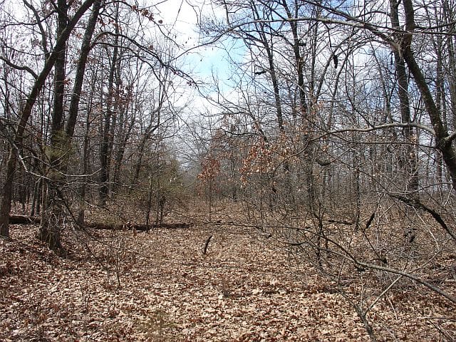 Barnes Hollow Tract 8 photo 6