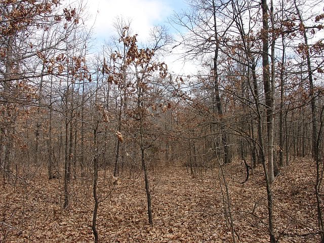 Barnes Hollow Tract 8 photo 7