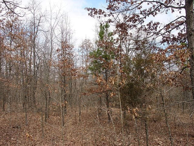 Barnes Hollow Tract 8 photo 8