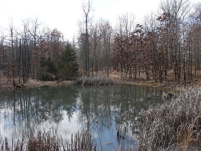 Barnes Hollow Tract 8 photo 10