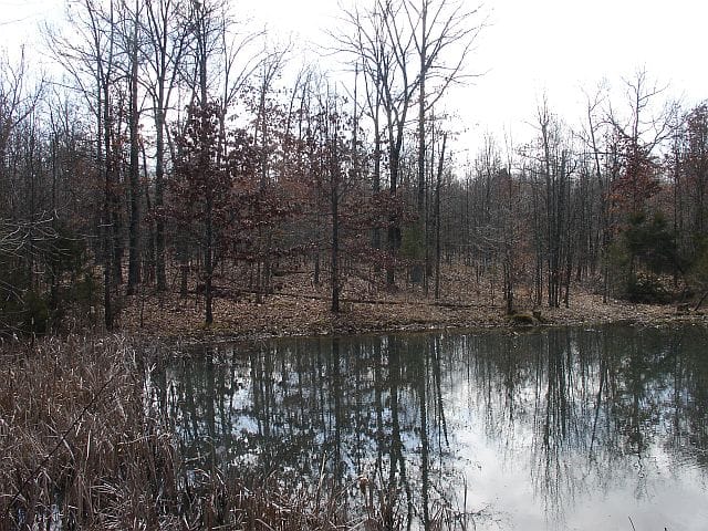 Barnes Hollow Tract 8 photo 11