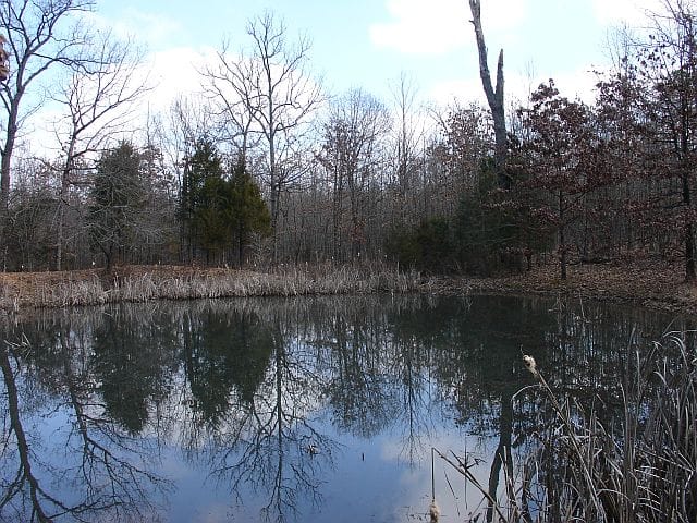 Barnes Hollow Tract 8 photo 12