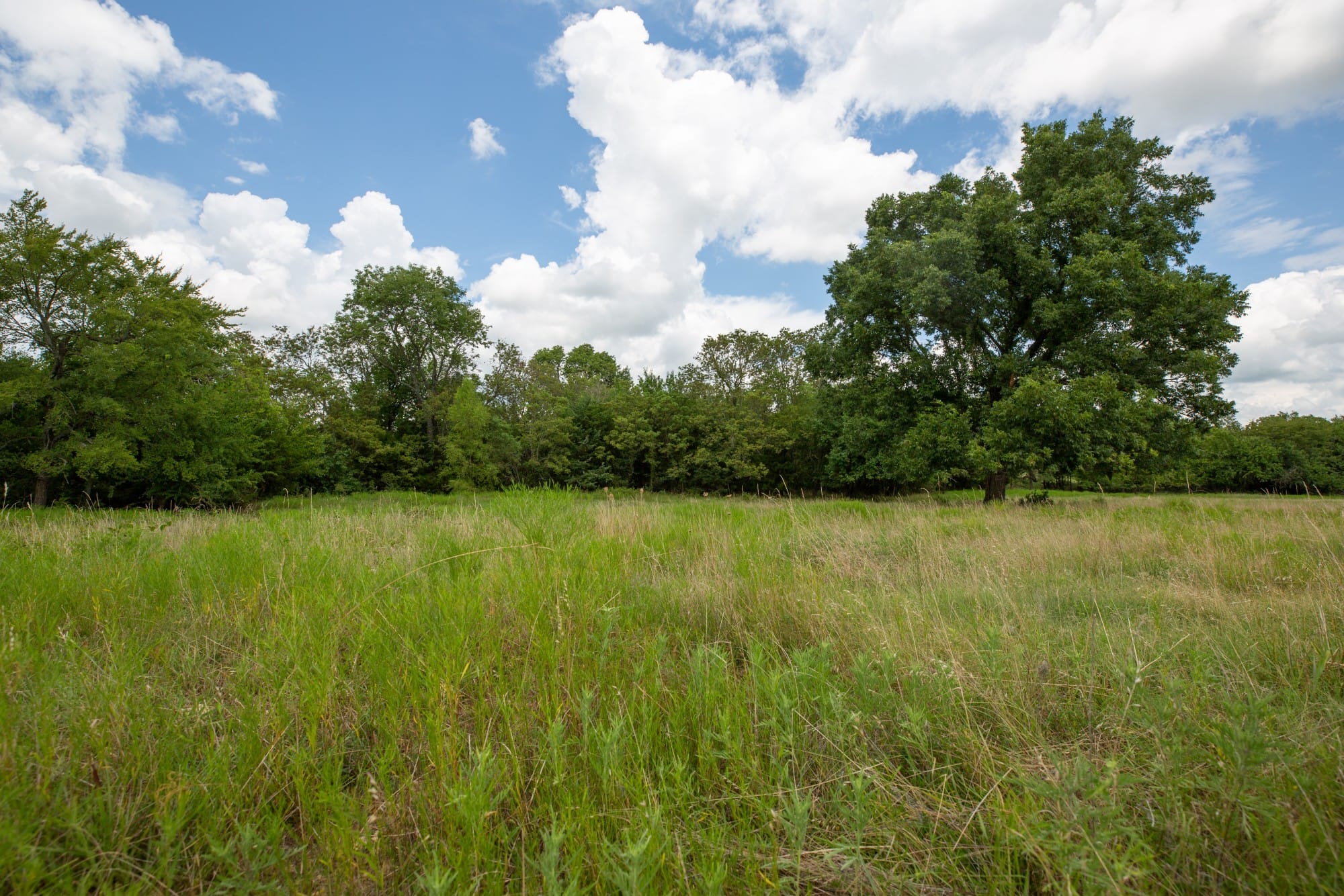 Paradise Valley Tract 3 photo 3