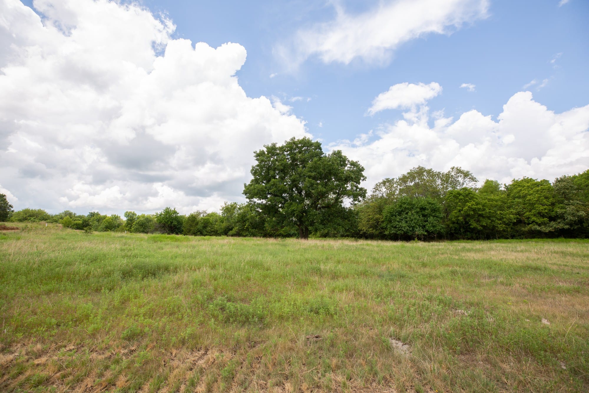 Paradise Valley Tract 3 photo 7