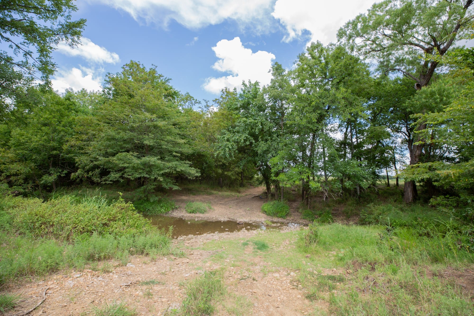 Paradise Valley Tract 3 photo 8