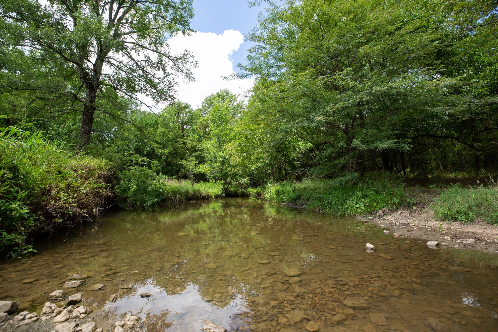Paradise Valley Tract 3 photo 2