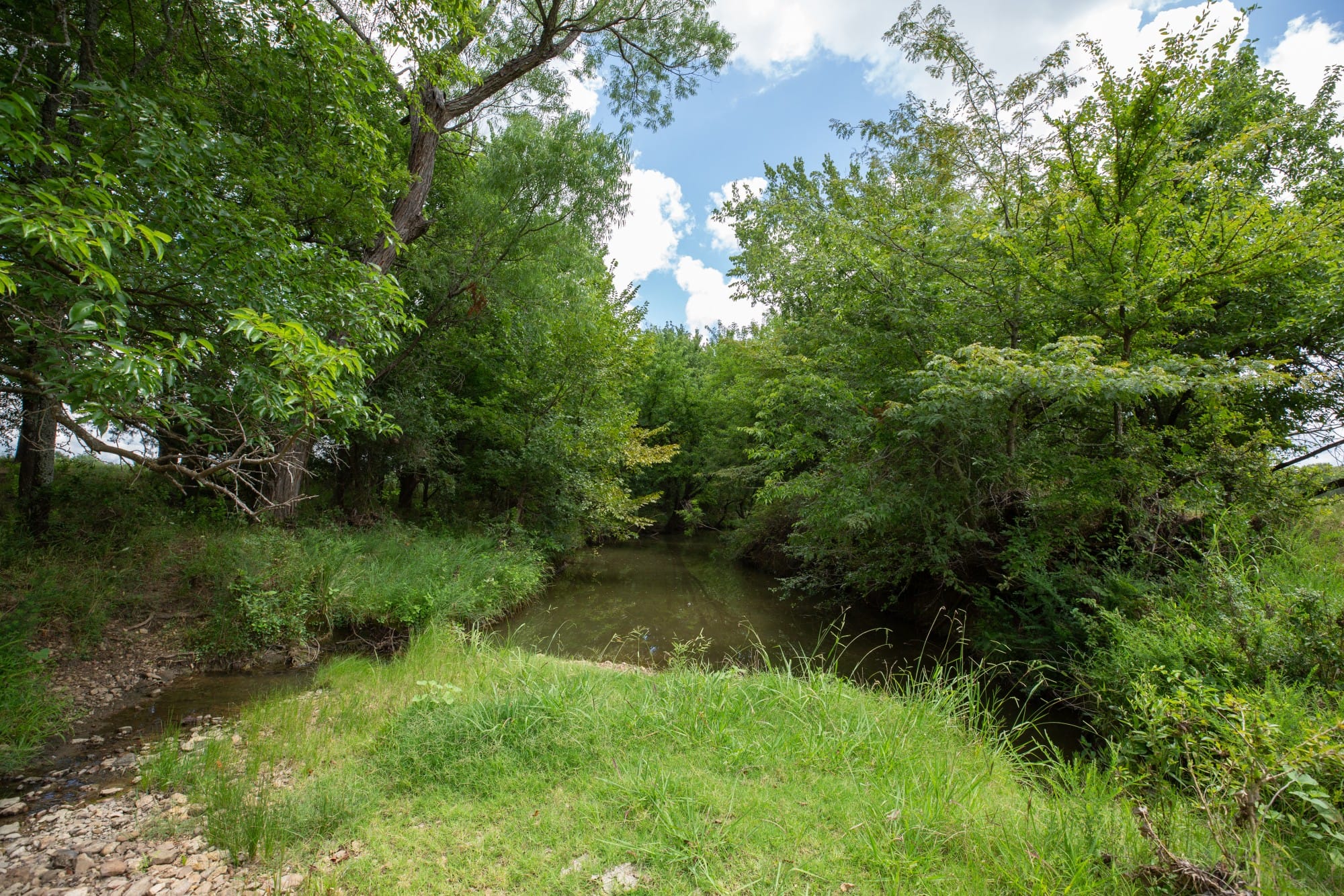 Paradise Valley Tract 3 photo 9