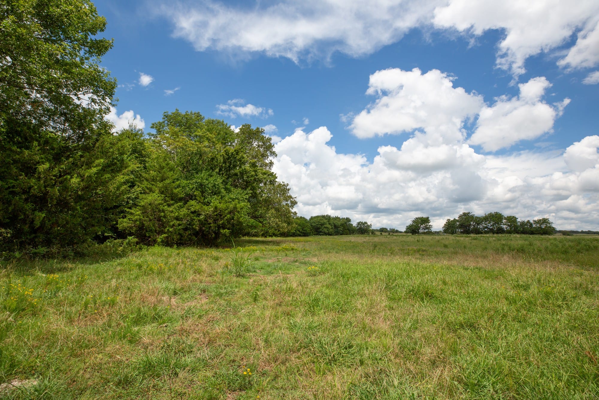 Paradise Valley Tract 3 photo 10
