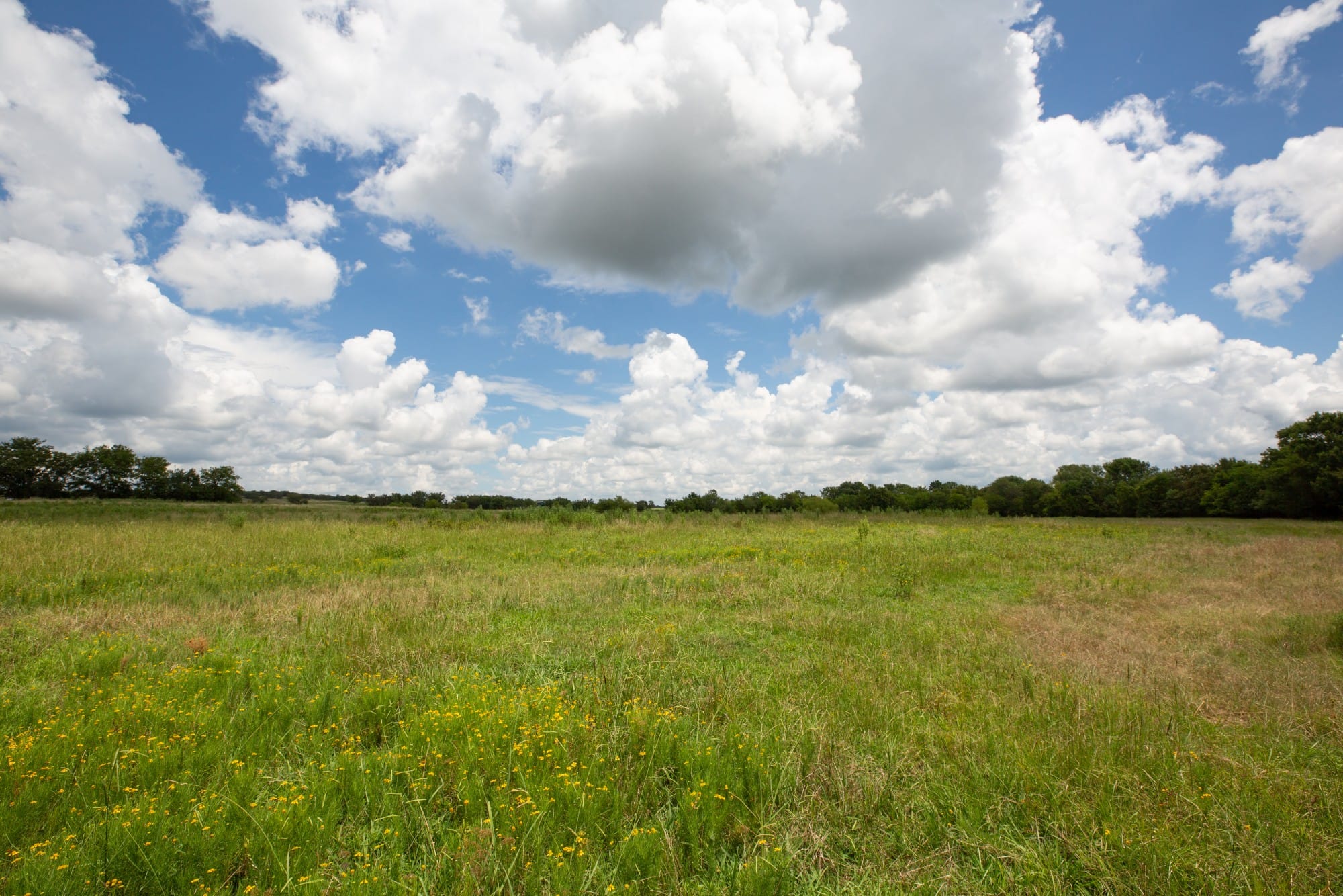 Paradise Valley Tract 3 photo 4