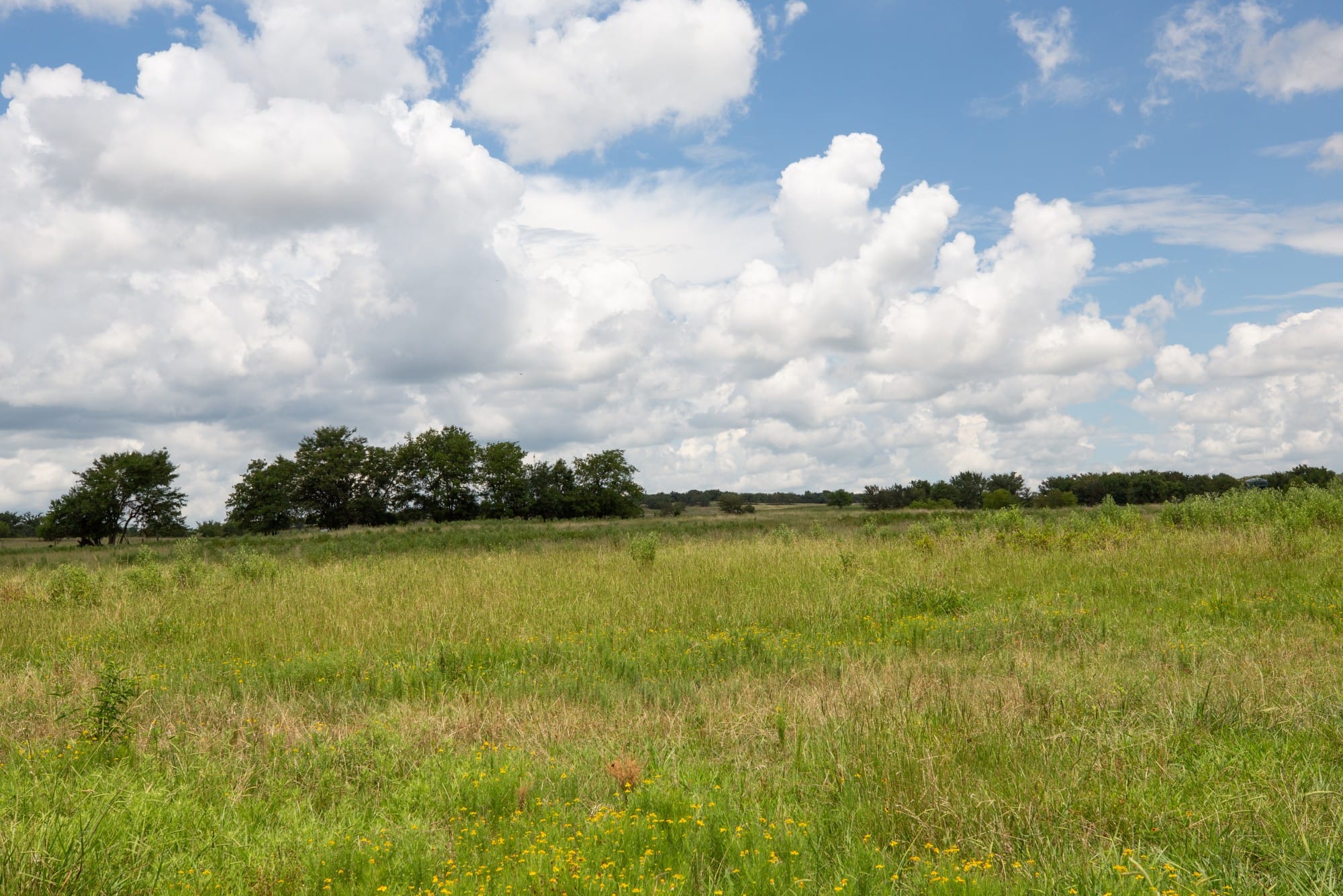 Paradise Valley Tract 3 photo 6