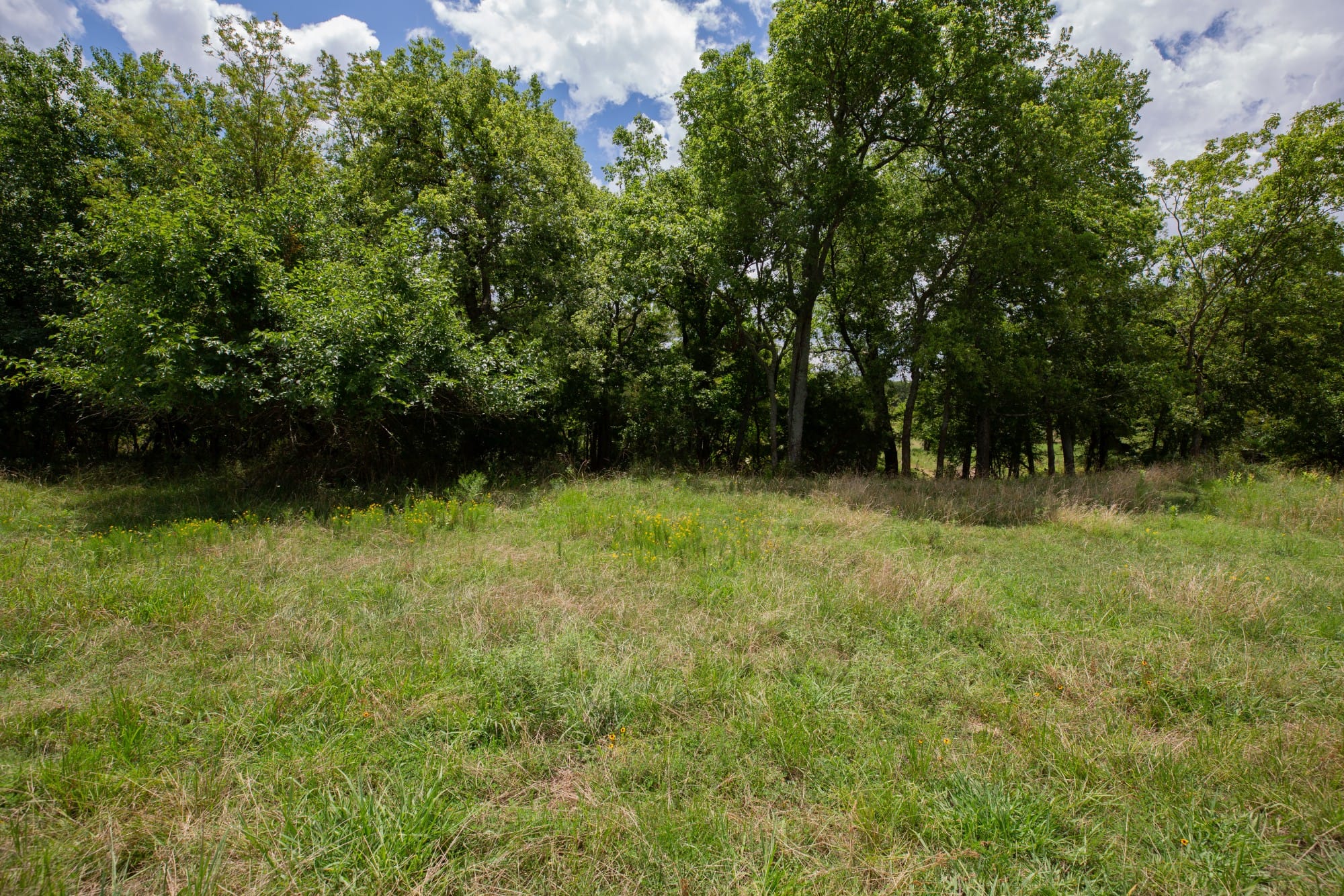 Paradise Valley Tract 3 photo 13