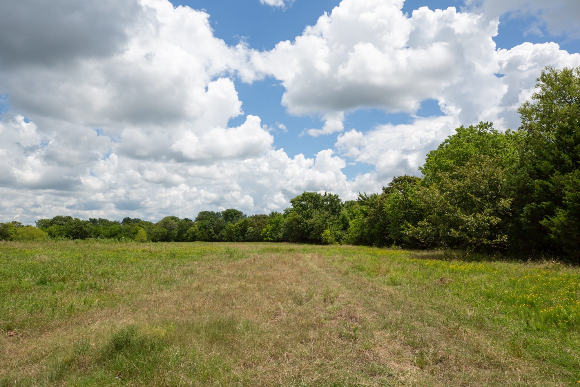 Paradise Valley Tract 3 photo 14