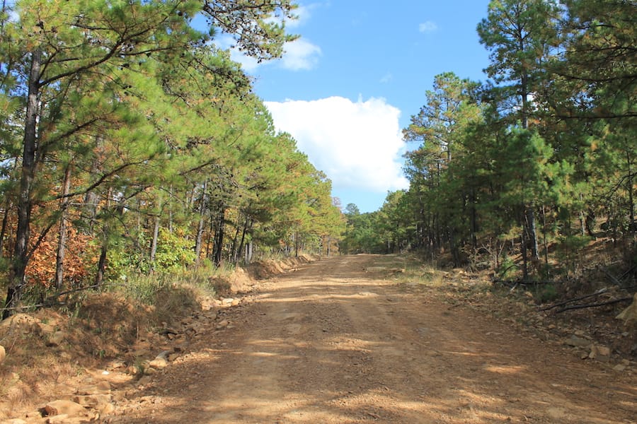 Indian Ridge – Phase III Tract 119 photo 2