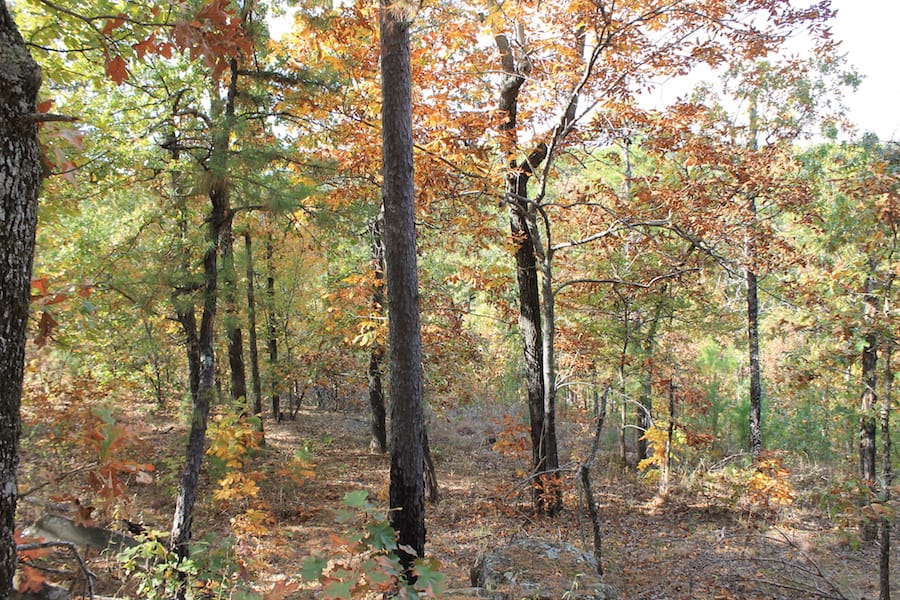 Indian Ridge – Phase III Tract 119 photo 3