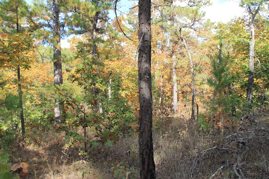 Indian Ridge – Phase III Tract 119 photo 6