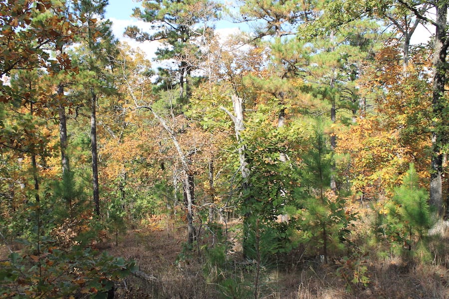 Indian Ridge – Phase III Tract 119 photo 8