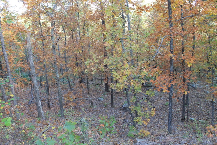 Indian Ridge – Phase III Tract 119 photo 14