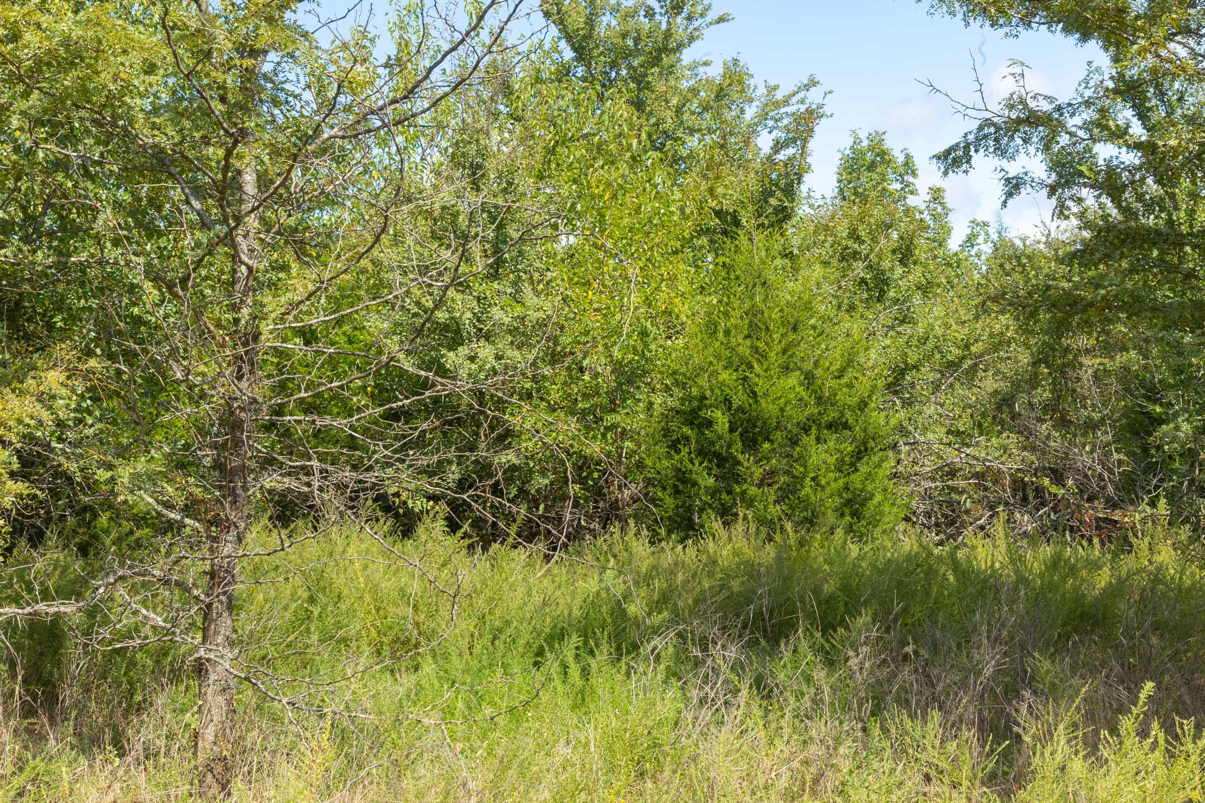 Reserves At Cattail Cove Phase II Tract 64 photo 7
