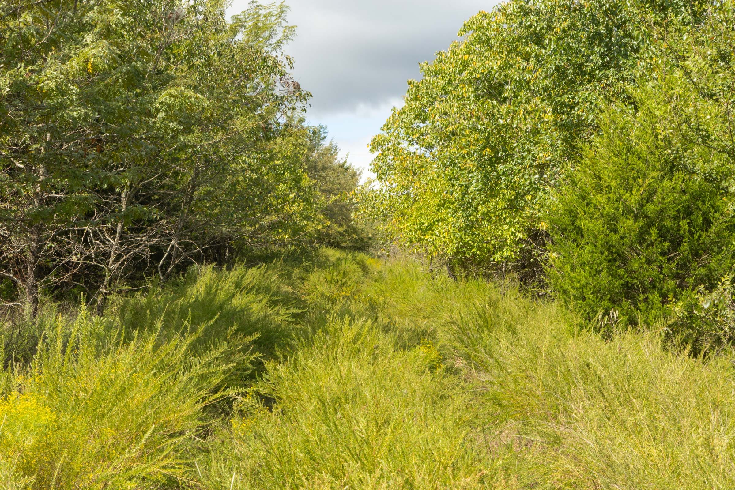 Reserves At Cattail Cove Phase II Tract 64 photo 5