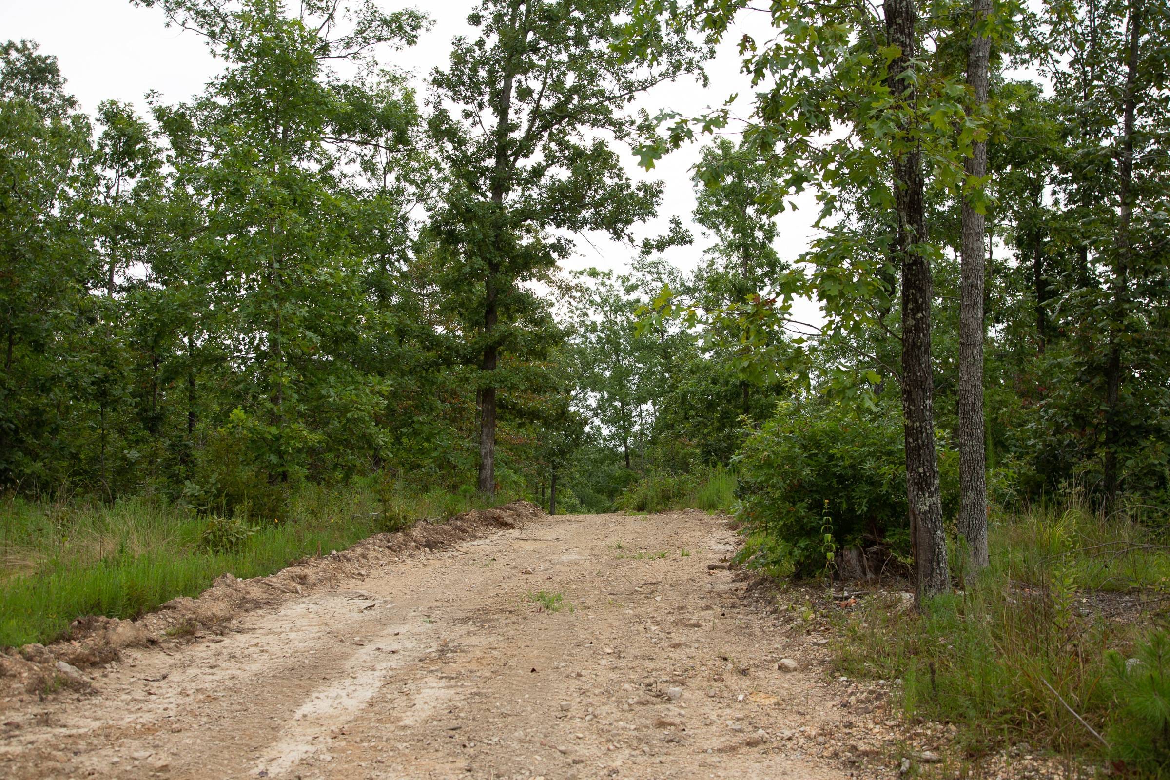 Borgmann’s Hollow Phase II Tract 32 photo 1