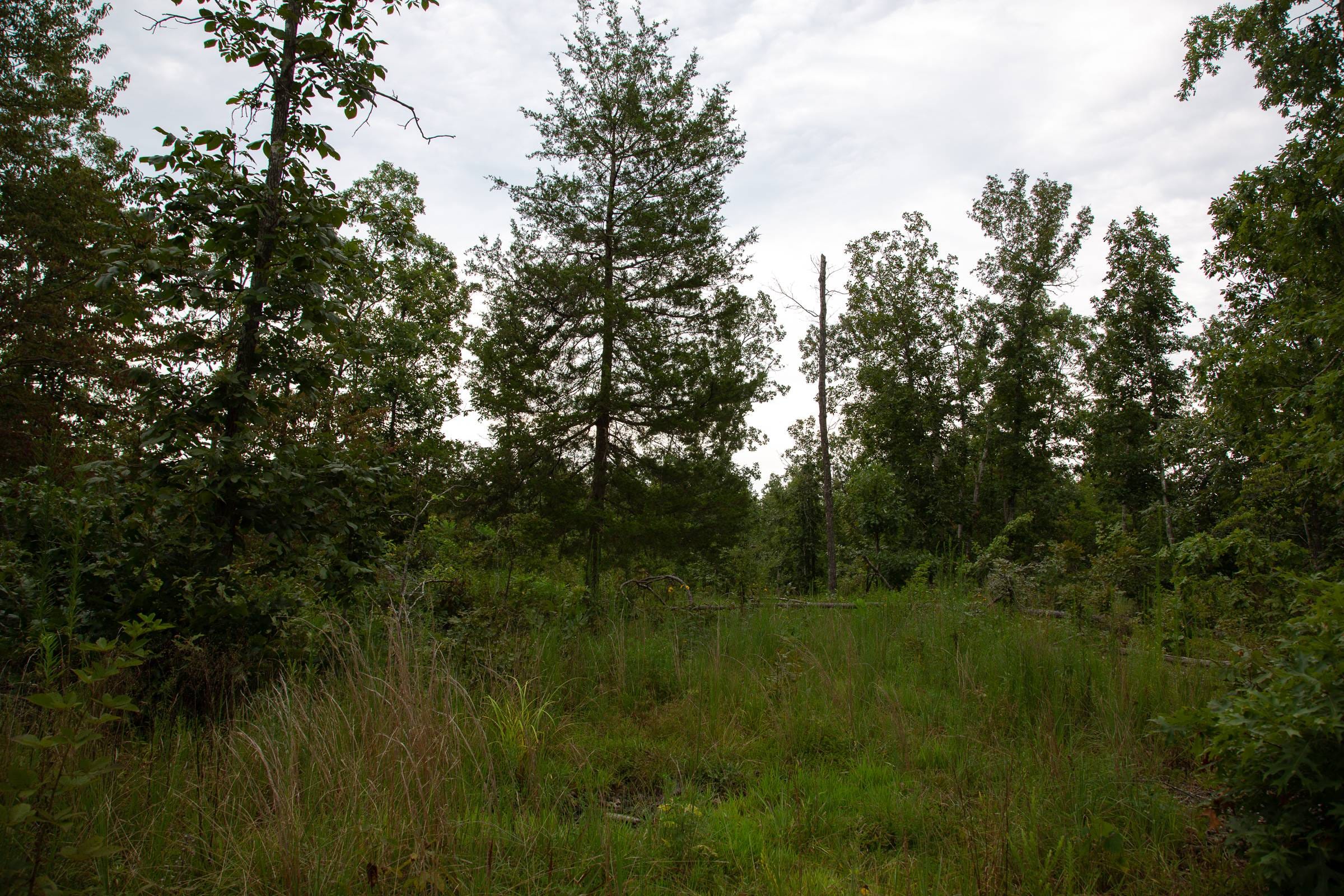 Borgmann’s Hollow Phase II Tract 32 photo 2