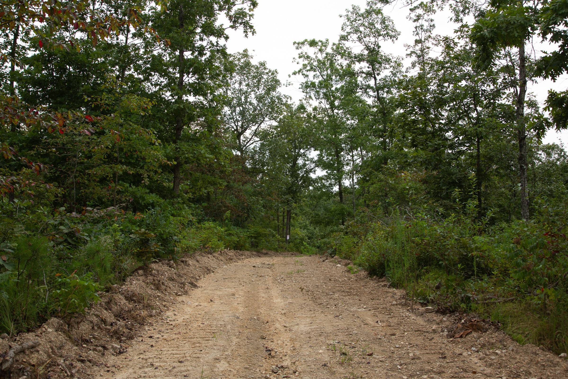 Borgmann’s Hollow Phase II Tract 32 photo 4