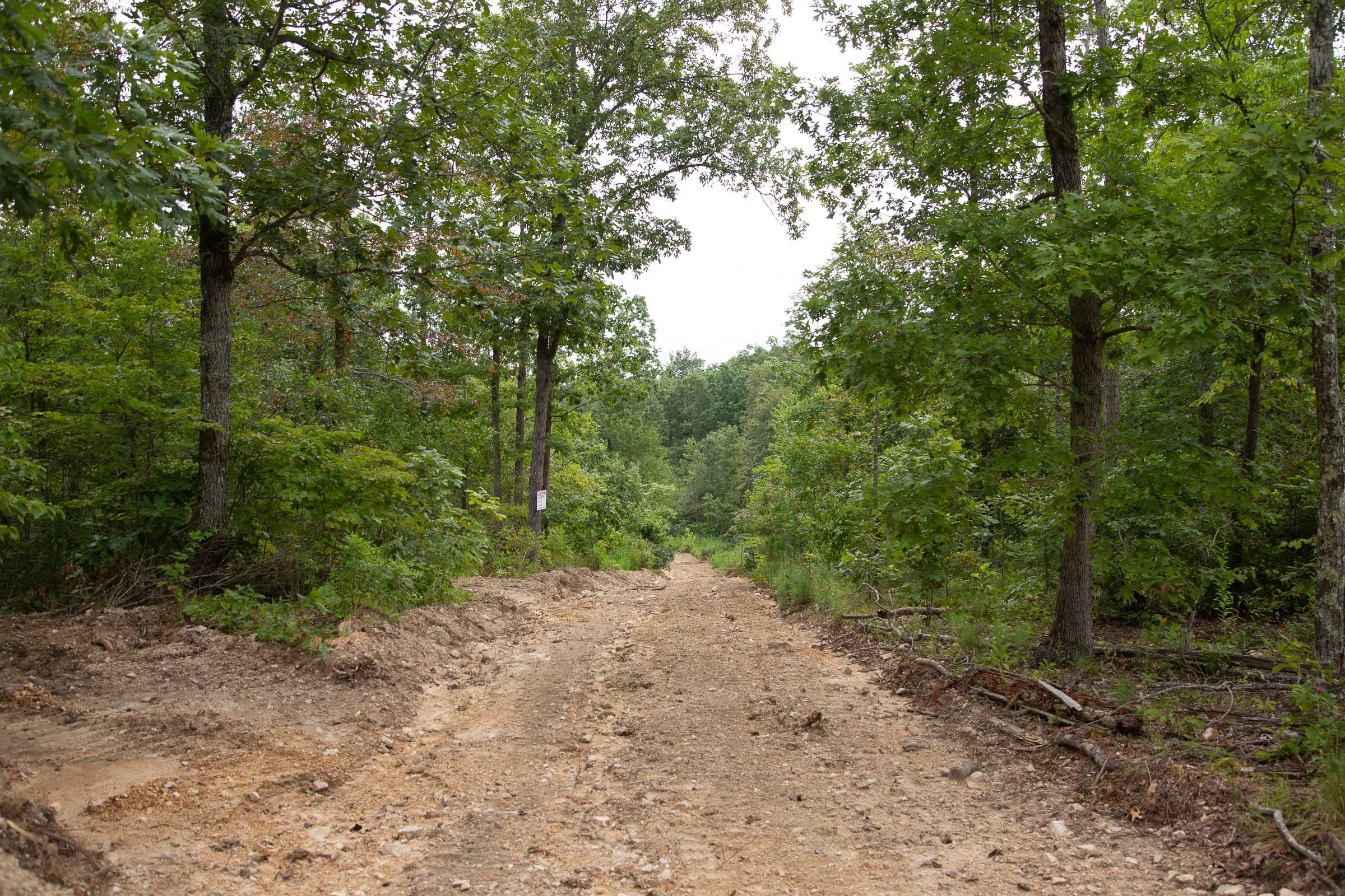 Borgmann’s Hollow Phase II Tract 32 photo 7