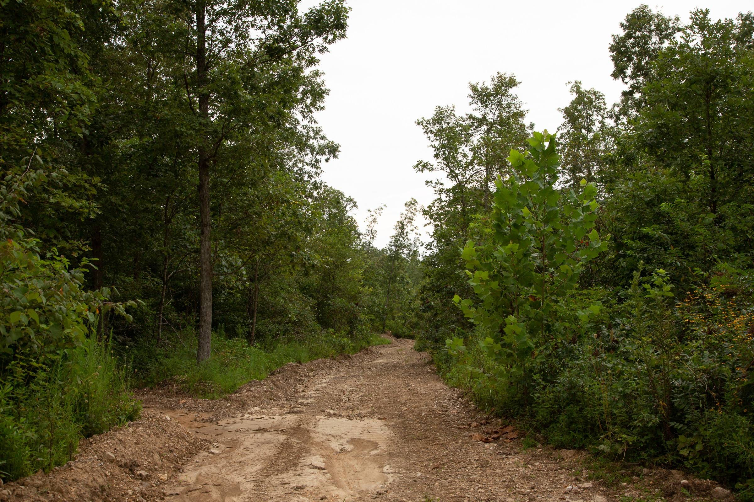 Borgmann’s Hollow Phase II Tract 32 photo 10