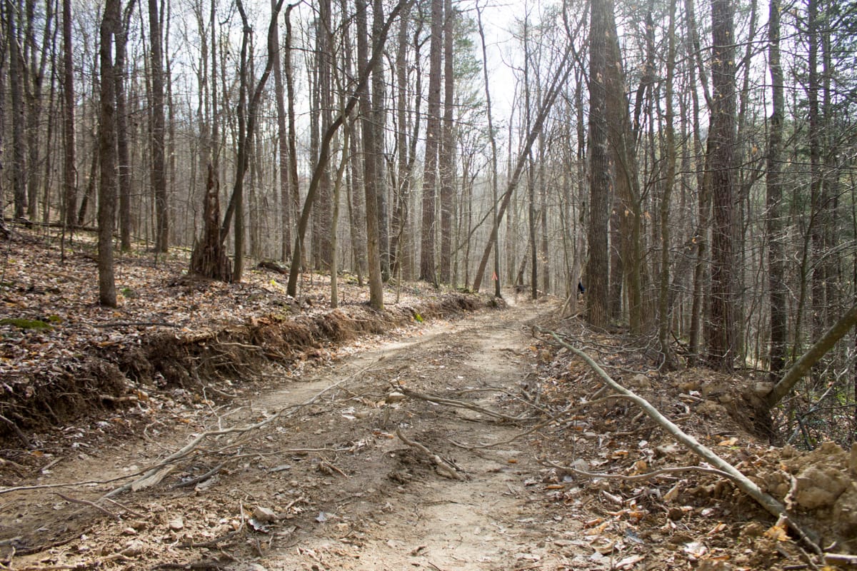 Chestnut Oak Ridge Tract 20 photo 1