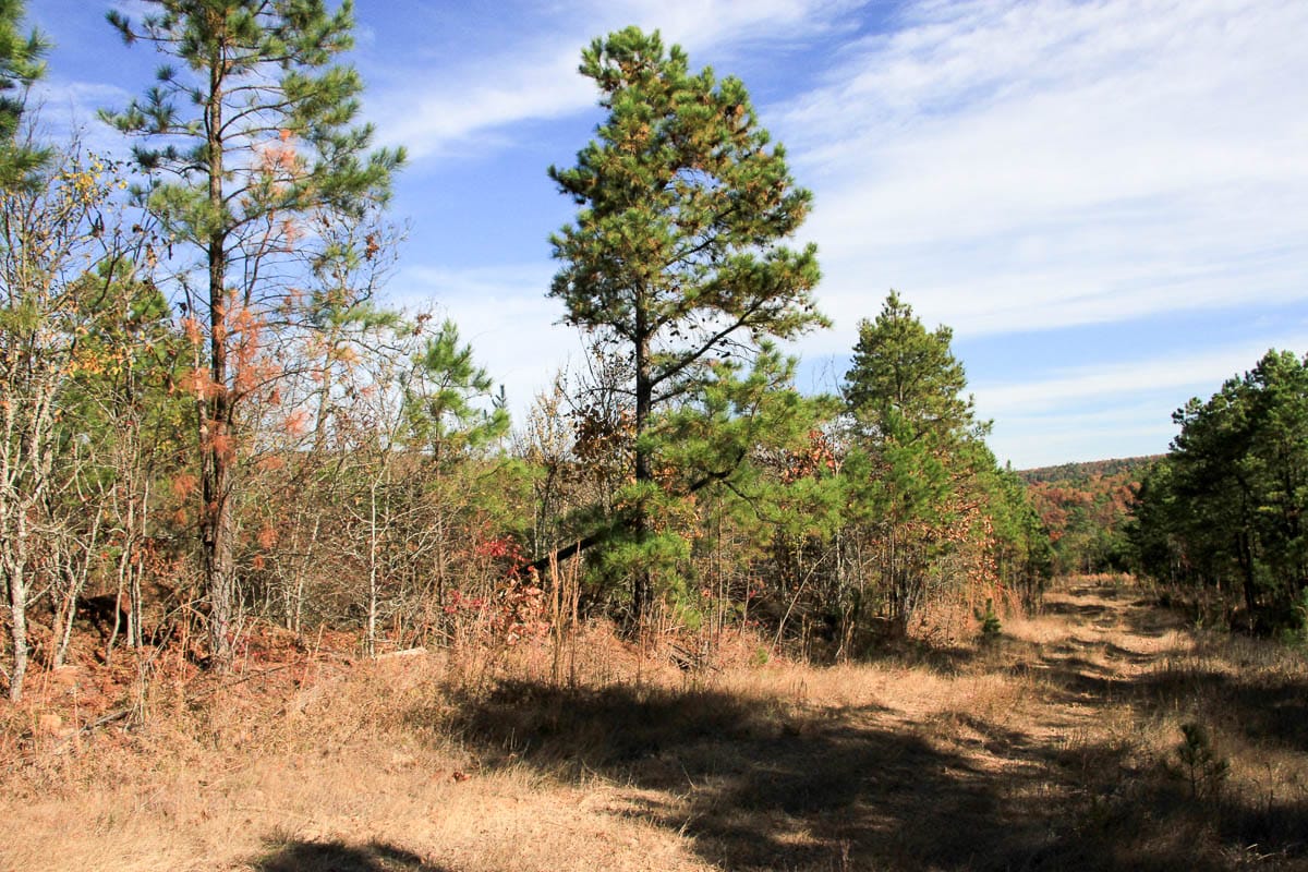 Stone Creek Phase III Tract 2 photo 2