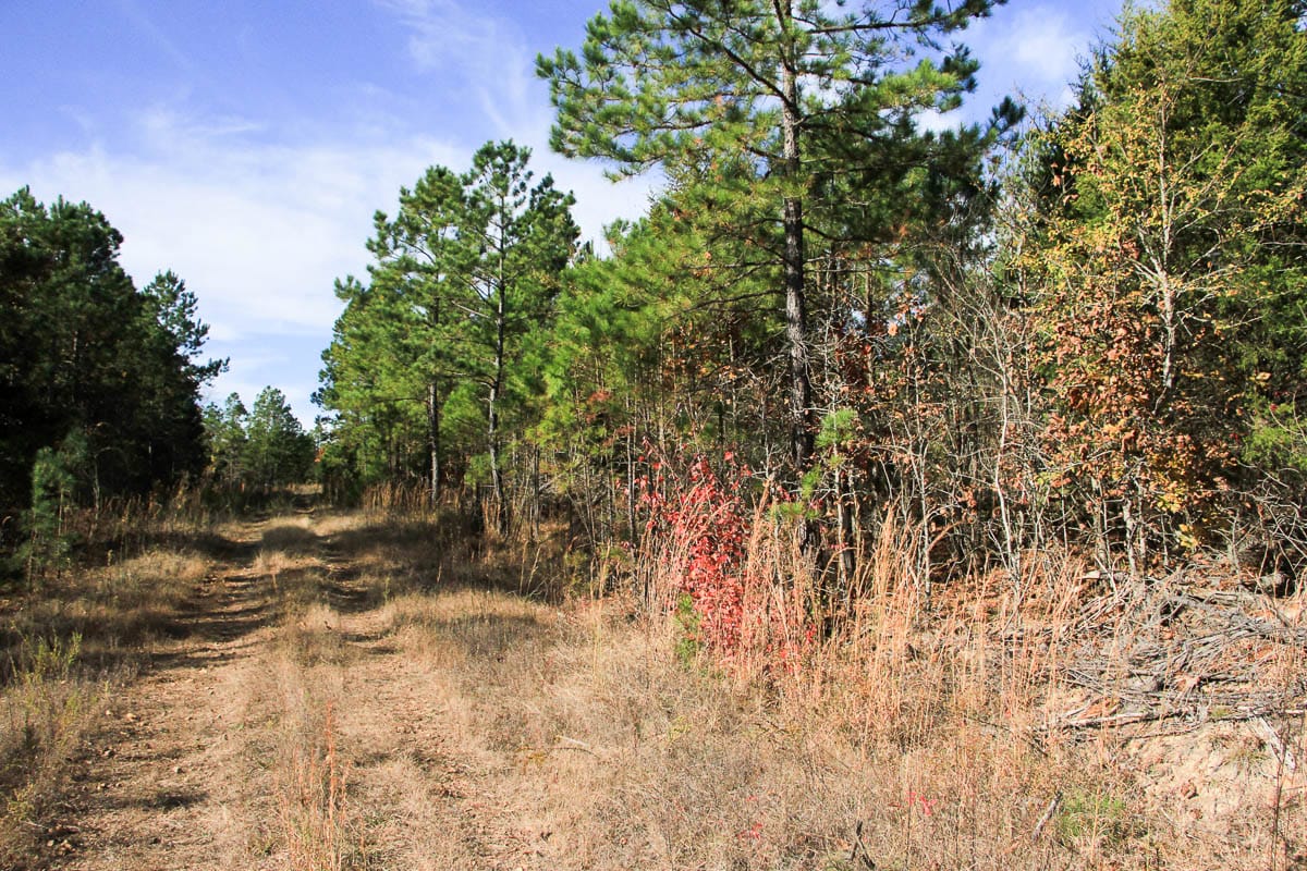 Stone Creek Phase III Tract 2 photo 5