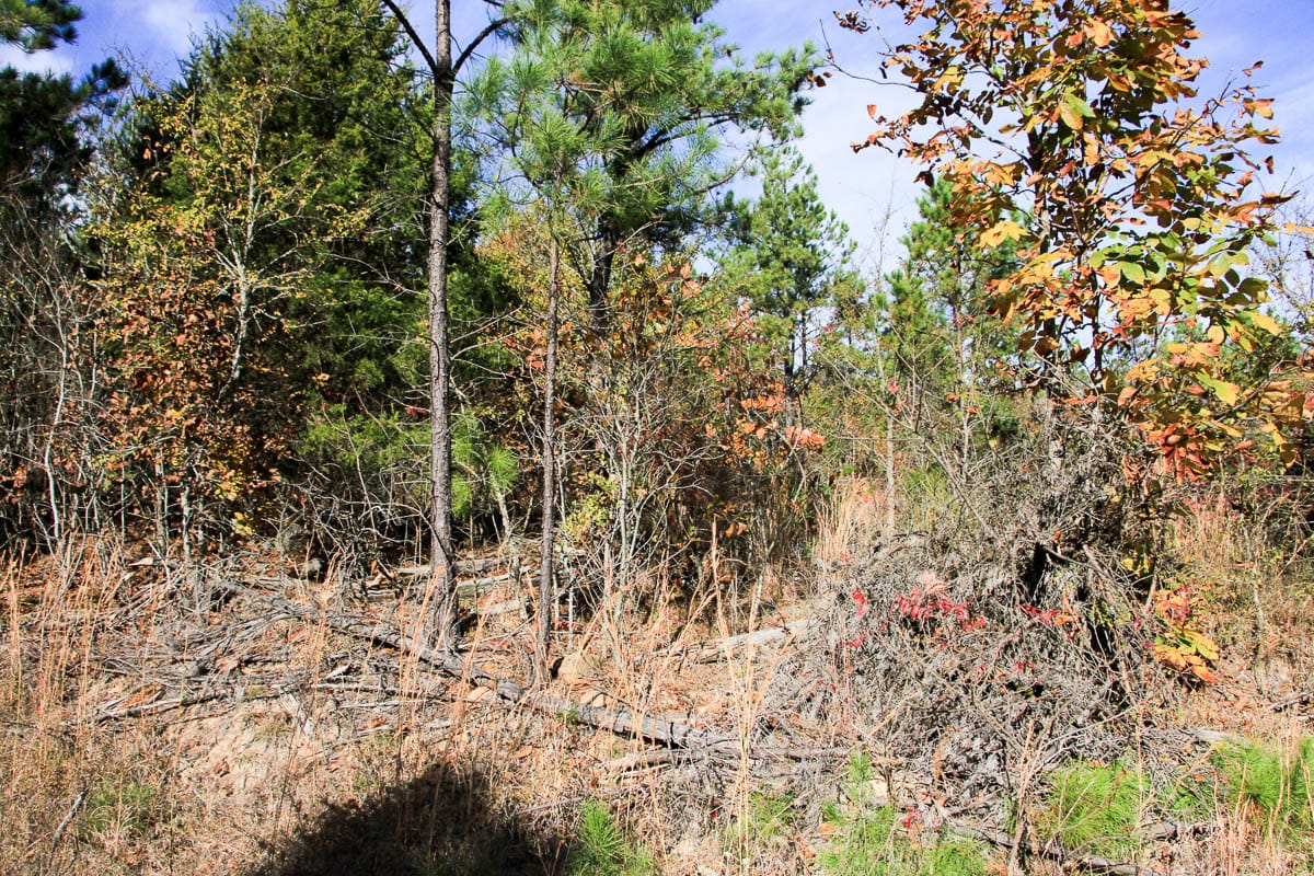 Stone Creek Phase III Tract 2 photo 6