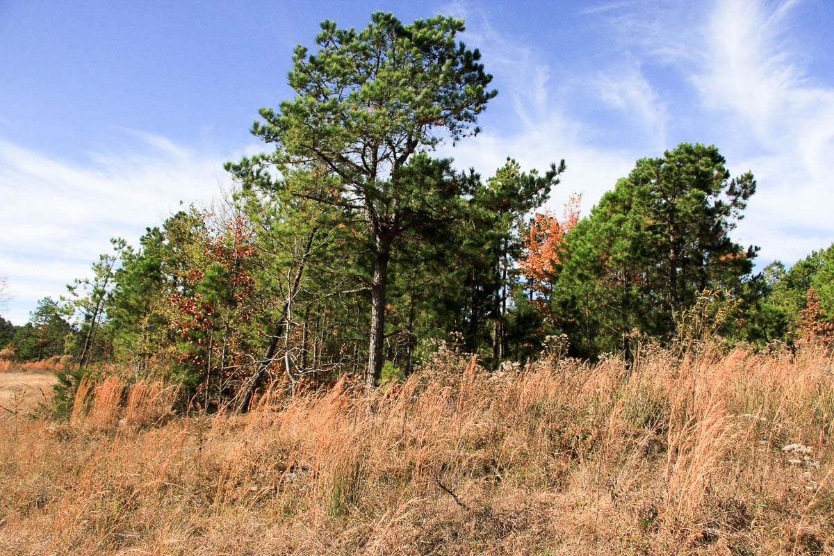 Stone Creek Phase III Tract 2 photo 8