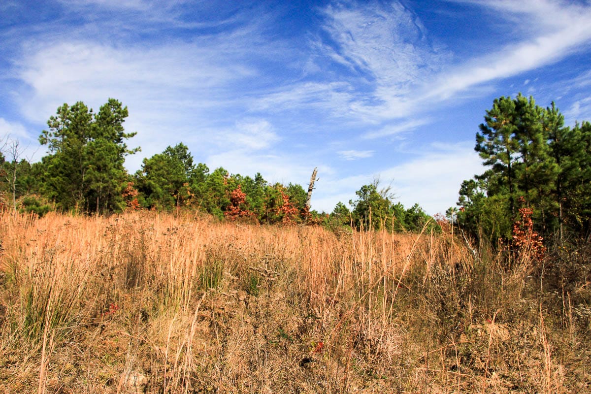 Stone Creek Phase III Tract 2 photo 9