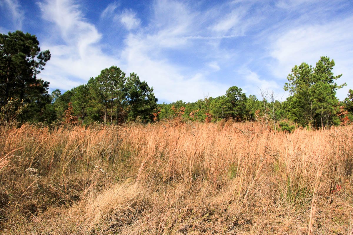 Stone Creek Phase III Tract 2 photo 10