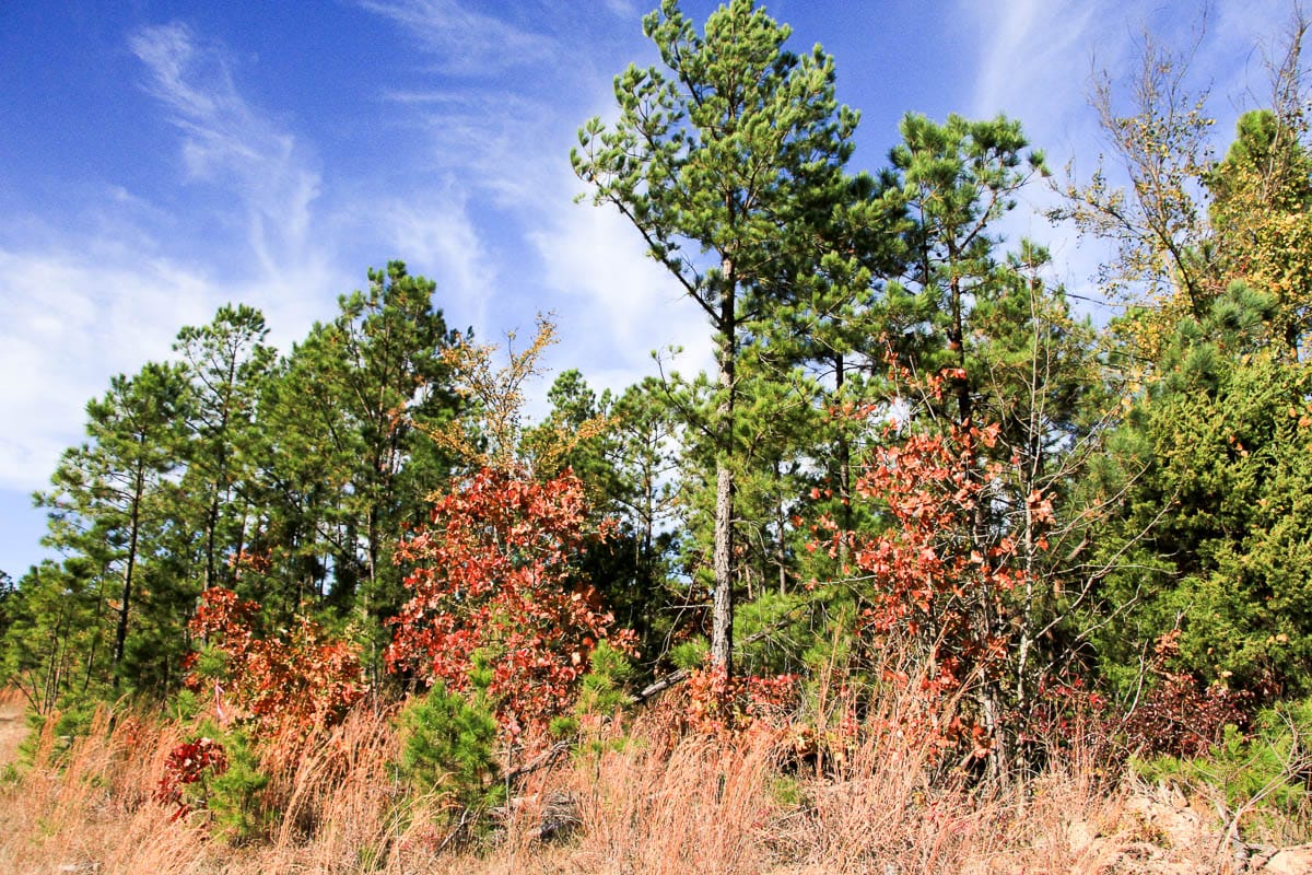 Stone Creek Phase III Tract 2 photo 11