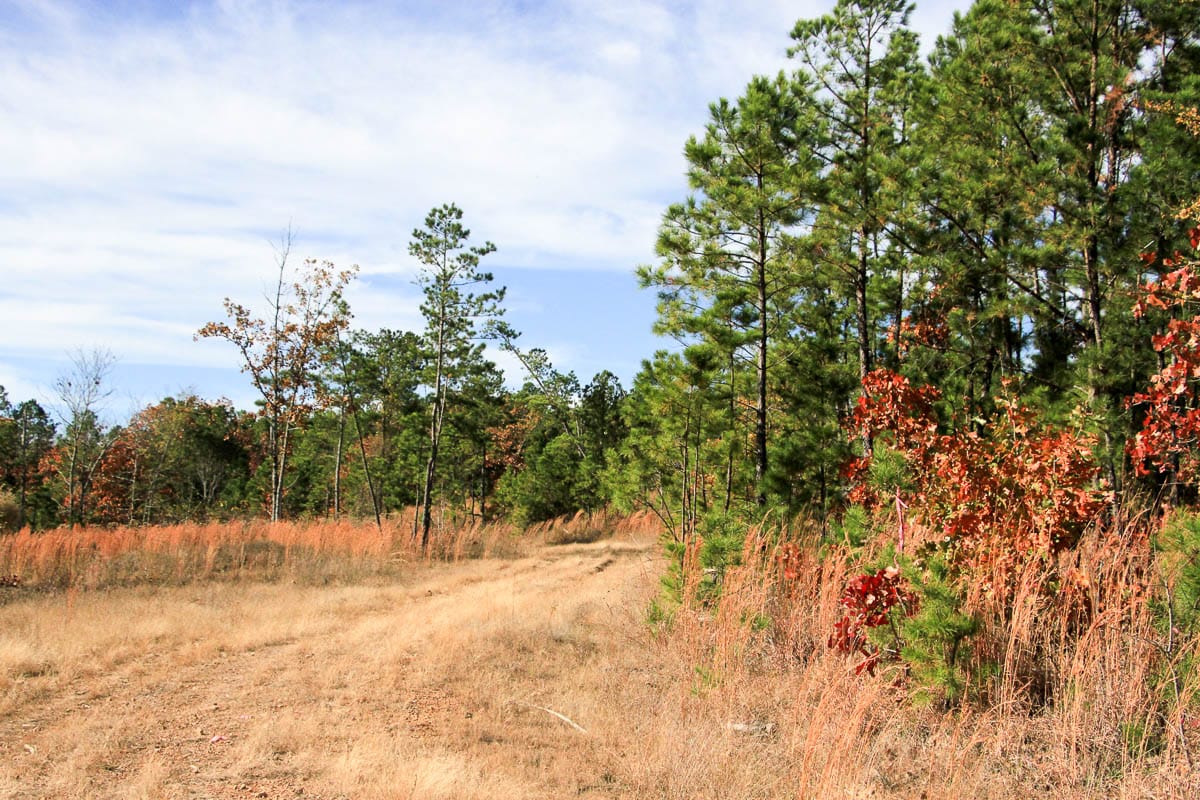 Stone Creek Phase III Tract 2 photo 12