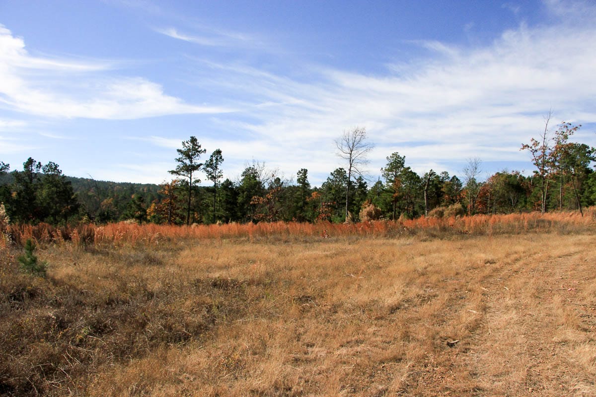Stone Creek Phase III Tract 2 photo 13