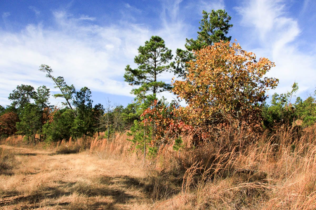 Stone Creek Phase III Tract 2 photo 14